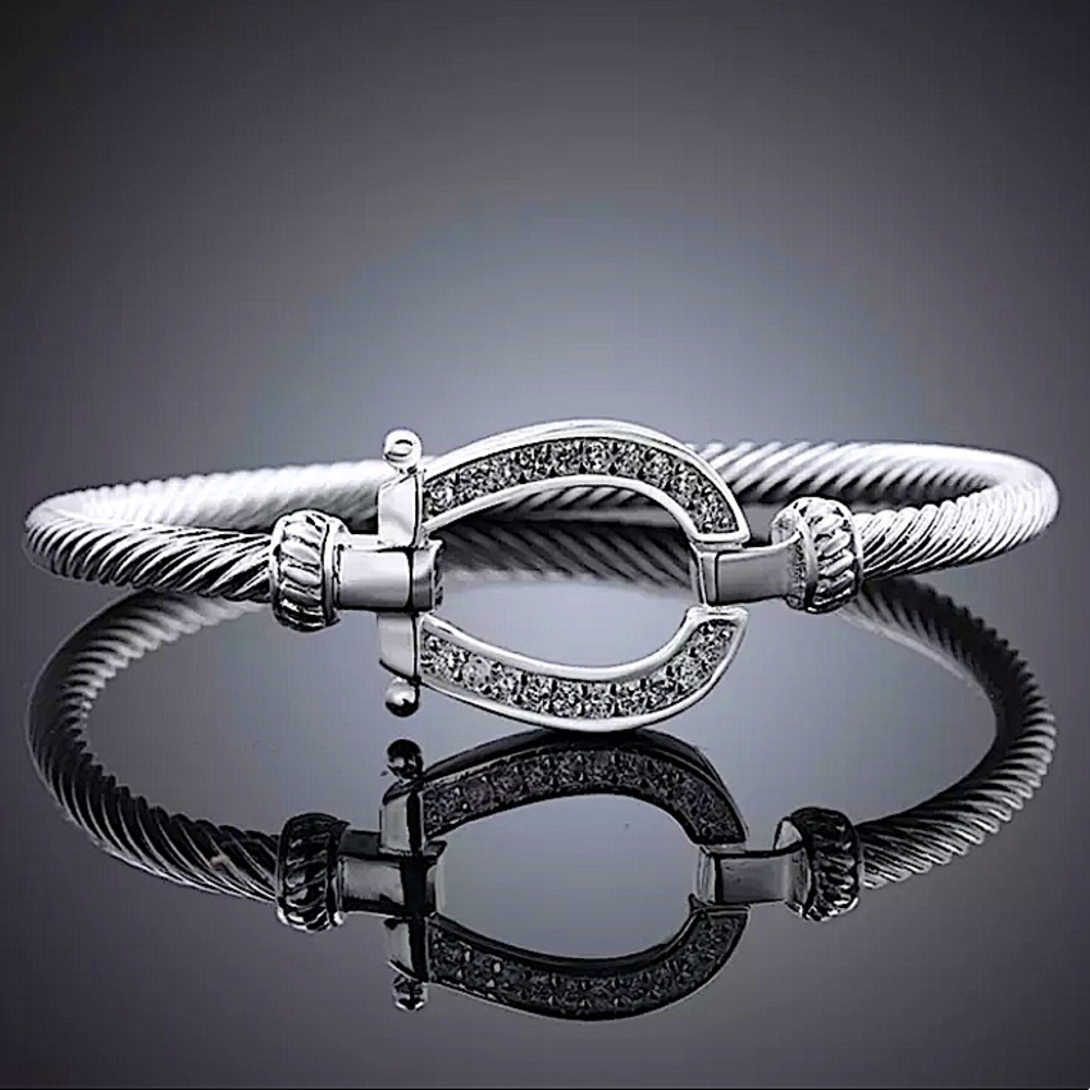 Sterling Silver Horseshoe Design Zircon Twisted Bangle Bracelet - Picture 3 of 13